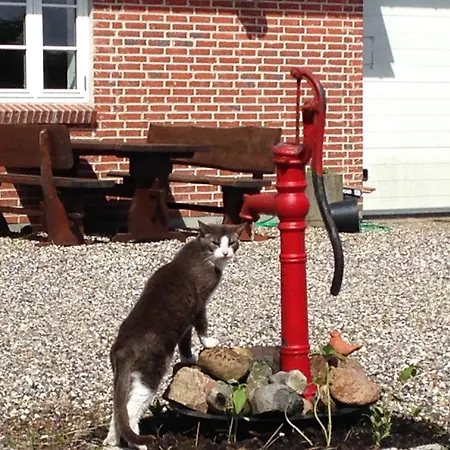 Casa di campagna Grethelund - 50m2 Silkeborg