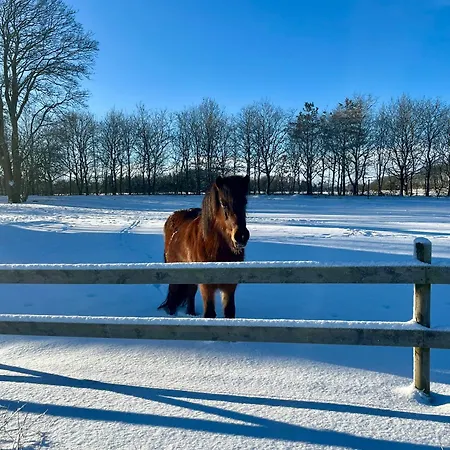 Casa di campagna Grethelund - 50m2 *